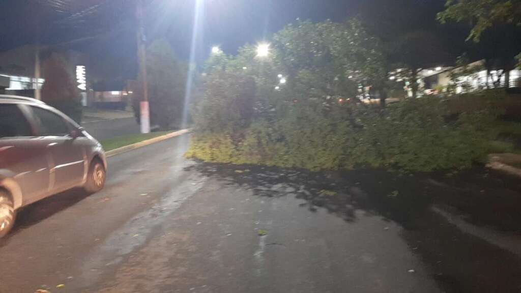 Defesa Civil de Pirassununga registrou rajadas 90 km/h, quedas de árvores e muito trabalho 6 defesa civil 0004
