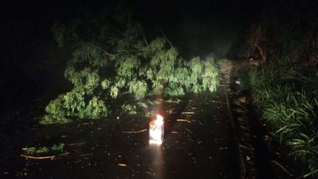 Defesa Civil de Pirassununga registrou rajadas 90 km/h, quedas de árvores e muito trabalho 11 defesa civil 0009