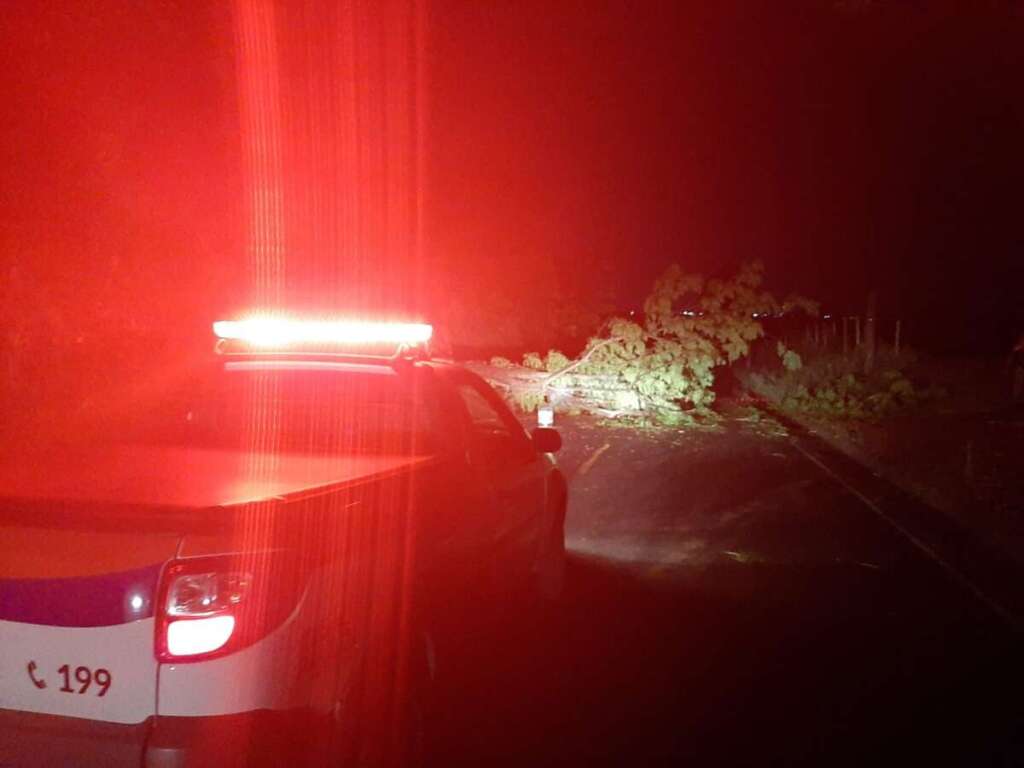 Defesa Civil de Pirassununga registrou rajadas 90 km/h, quedas de árvores e muito trabalho 12 defesa civil 0010