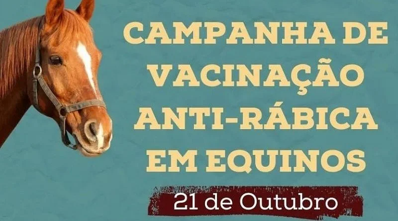 Campanha de vacinação antirrábica em equinos acontece neste sábado 1 vacina equinos capa 800x445 1