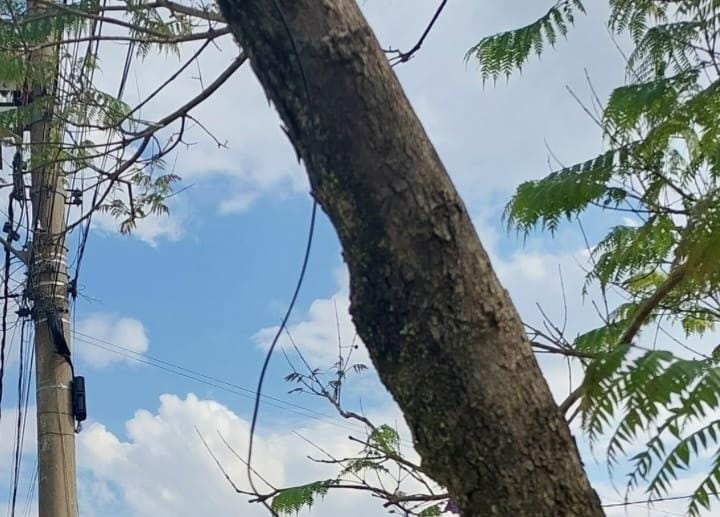 Um jovem por pouco não foi 'degolado' por cabo de Internet. Município não cumpre com Lei Municipal 6 ACIDENTE CABO DE ENERGIA 03 11 23 9