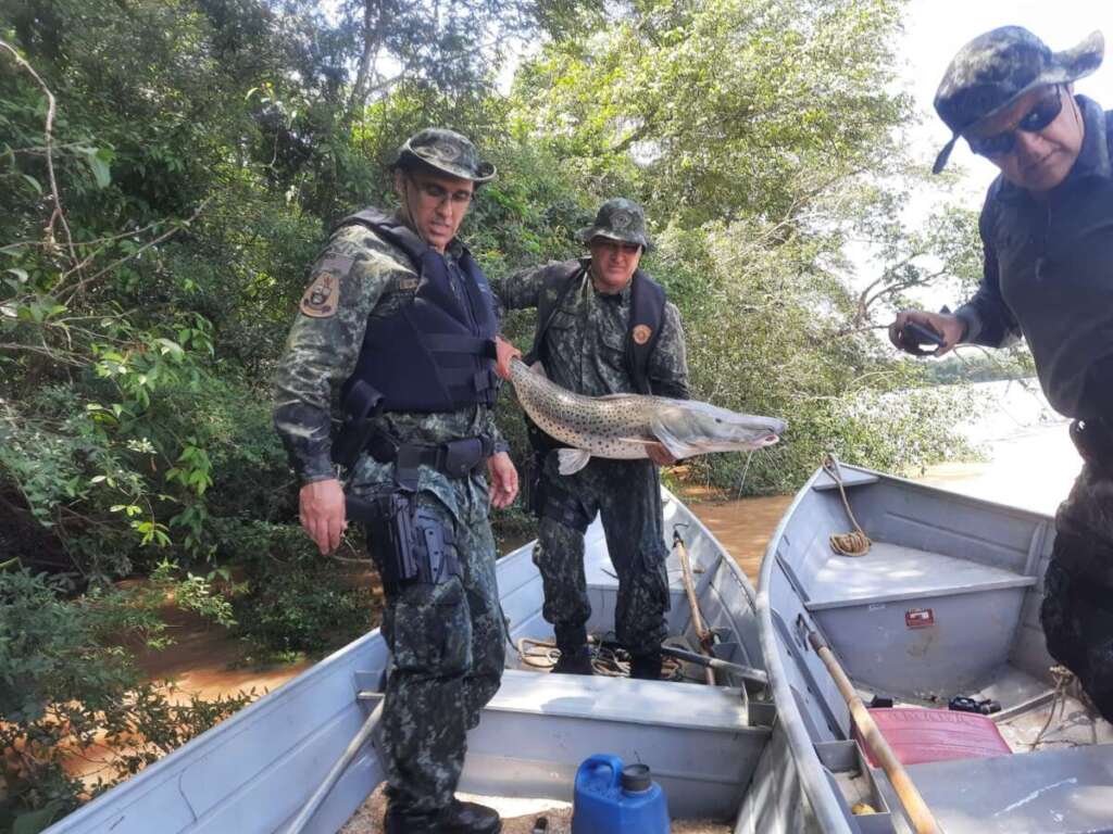 PMAmb liberta para o Rio, um peixe ‘Pintado’ que estava fisgado em um anzol de galho 4 WhatsApp Image 2023 11 02 at 18.56.03 1 1