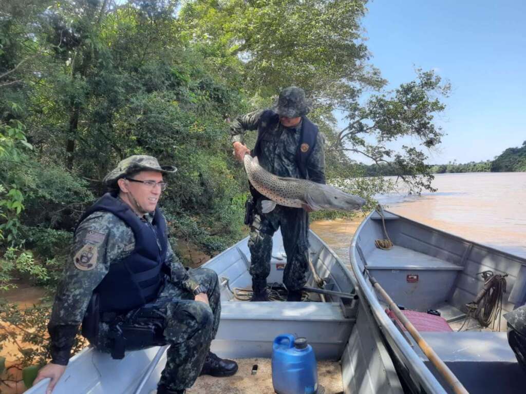 PMAmb liberta para o Rio, um peixe ‘Pintado’ que estava fisgado em um anzol de galho 3 WhatsApp Image 2023 11 02 at 18.56.03