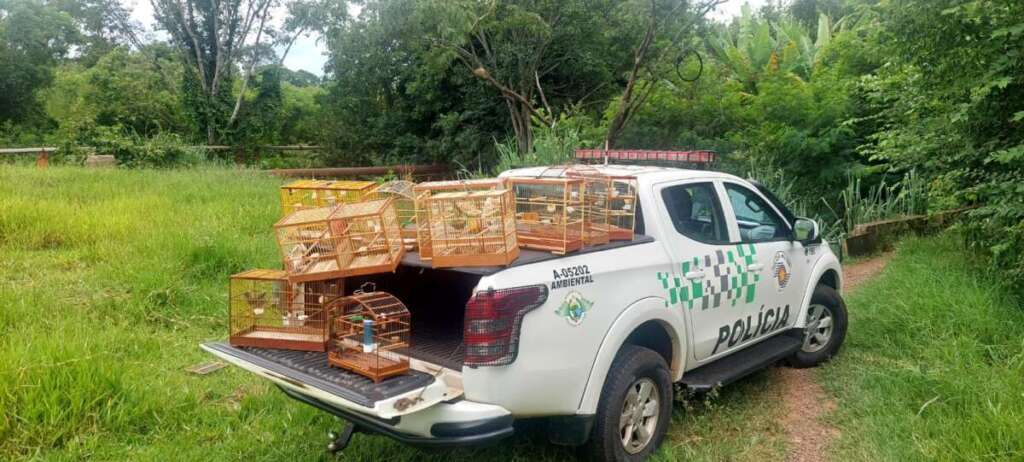 'Passarinheiro' leva multa de R$ 7.500,00 mil, pela Polícia Militar Ambiental 1 WhatsApp Image 2024 02 02 at 21.41.51