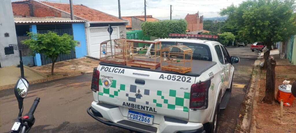 'Passarinheiro' leva multa de R$ 7.500,00 mil, pela Polícia Militar Ambiental 3 WhatsApp Image 2024 02 02 at 21.41.52