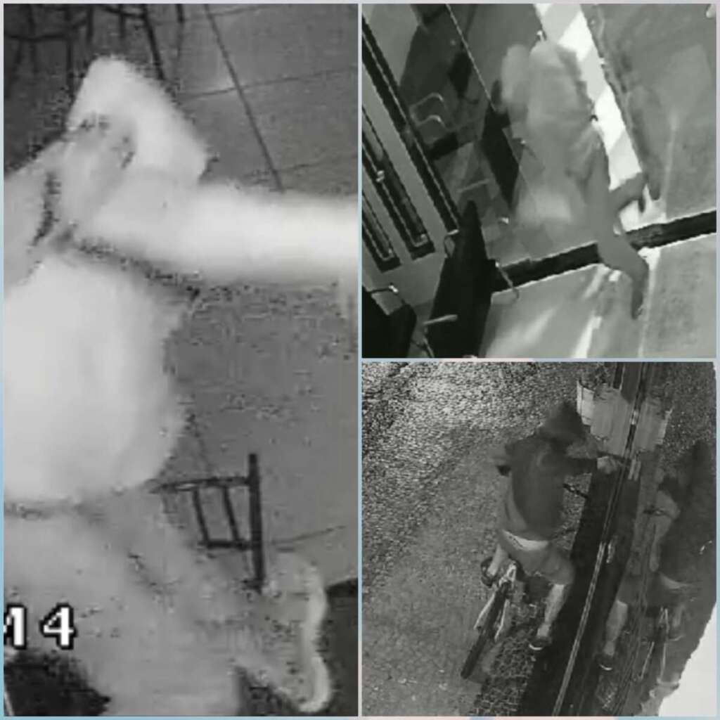 Delegada de Polícia solicitou Prisão Preventiva para ‘Chuchu’ preso pela PM de Leme 4 c6af4754 1f48 4e39 a65c 6f91a5915fc2