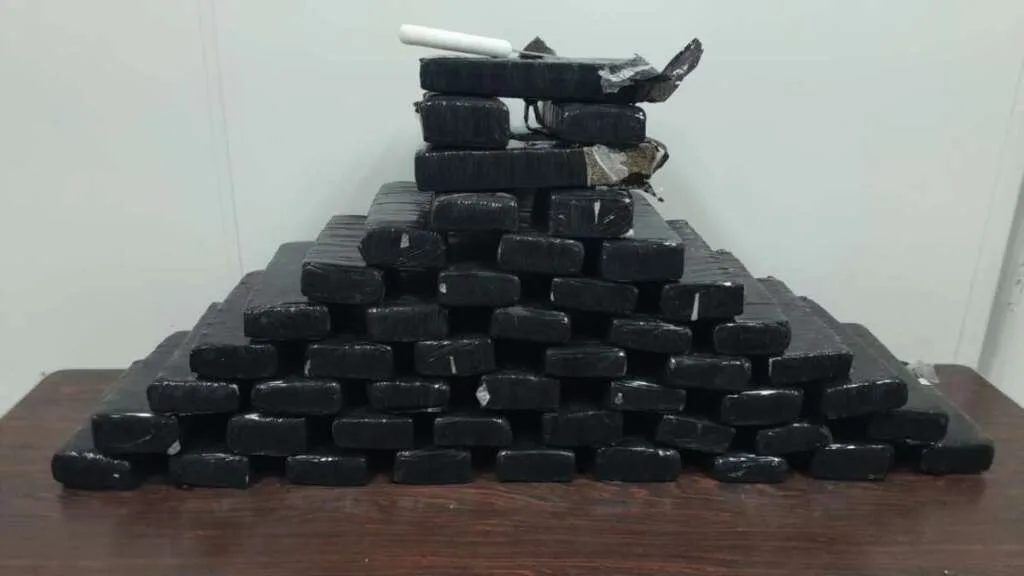 Após denúncia PM de Araras cerca imóvel e prende homem com 41 kg de maconha 1 7336da2f 1a29 4449 b872 1c3d310dea5b