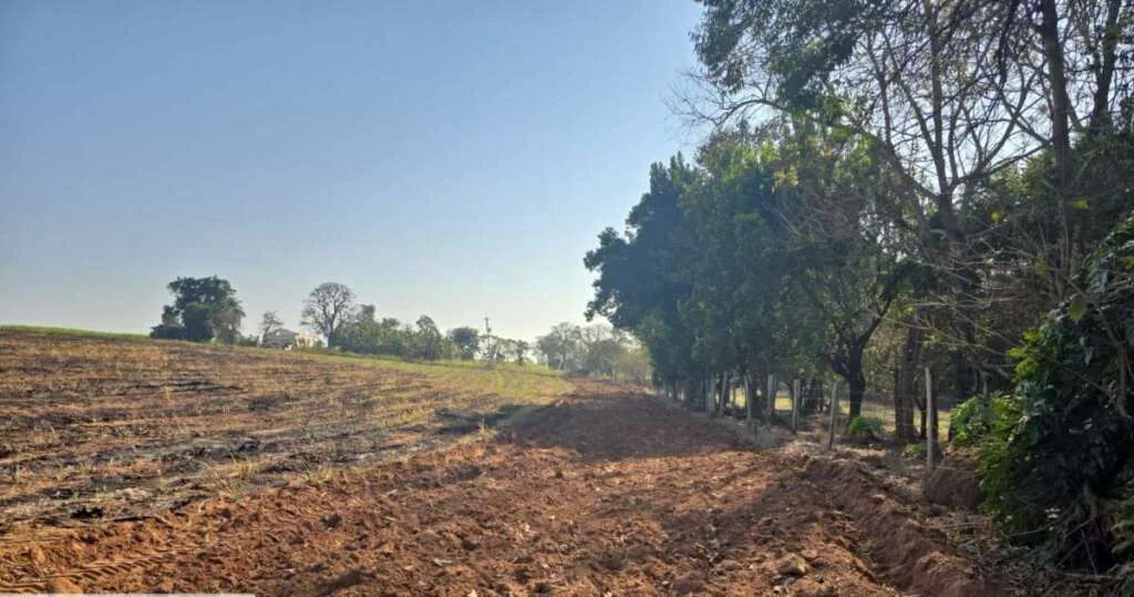 Policiamento Ambiental atende denúncia e aplica multa de R$ 5 mil em propriedade agrícola 1 2bf64907 486c 4f5f bda5 e04f61d4ea3e