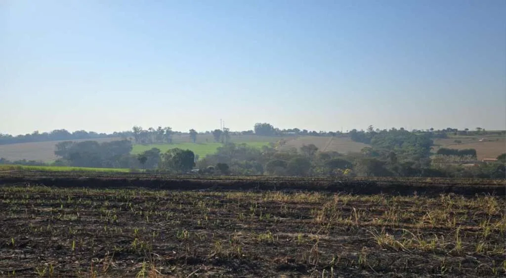 Policiamento Ambiental atende denúncia e aplica multa de R$ 5 mil em propriedade agrícola 2 30130fc1 b1cb 4860 9105 8359b076f07c