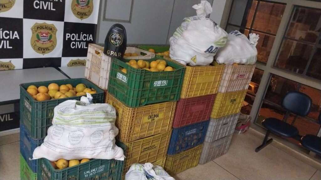 Moradores de Santa Cruz das Palmeiras presos em Pirassununga por furto de Laranjas 1 980bd4b1 e65a 4679 bb24 815c014192e5