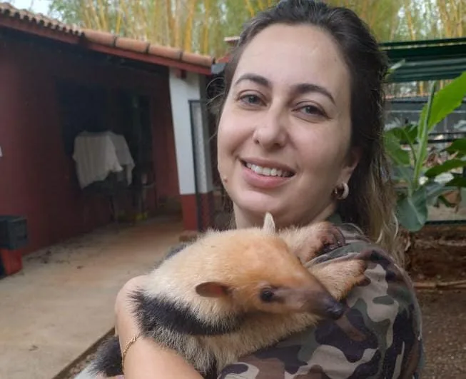 Tamandua Mirim e Ouriço Caxeiro levados pela PM Ambiental IBMMA em Santa C. das Palmeiras 2 4e7ecae4 f91d 4ebf 993c 306ae4d55dc7