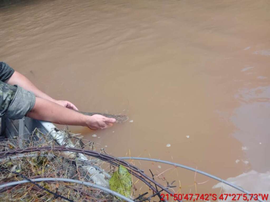 Polícia Militar Ambiental volta a dar "carga" à jusante do Rio Mogi Guaçu 2 ff6386e7 ff0f 4979 85bb 84ca3d89392b