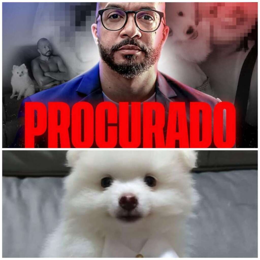 Polícia procura pelo “monstro” que assassinou cachorrinho em Porto Ferreira 1 WhatsApp Image 2025 05 13 at 21.40.22