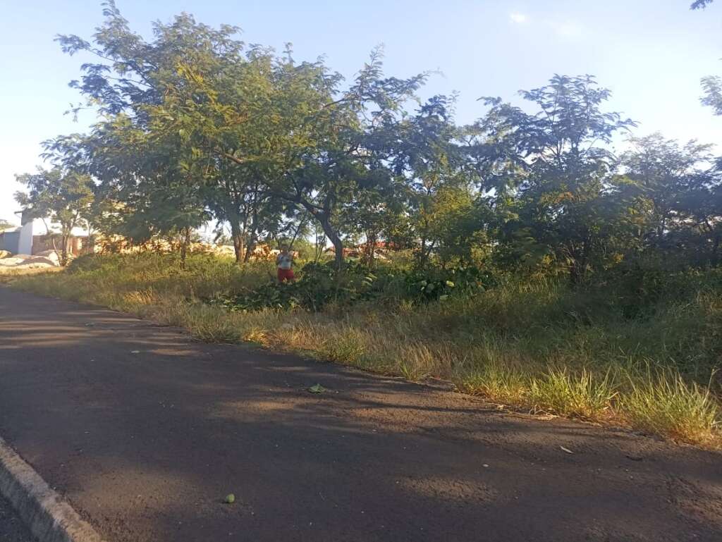 Prefeito desconhece trabalho eficaz da GCM de Pirassununga. Professora encontra maconha em bolsa de bebê de 1 anos e 8 meses 4 WhatsApp Image 2025 05 27 at 20.21.39