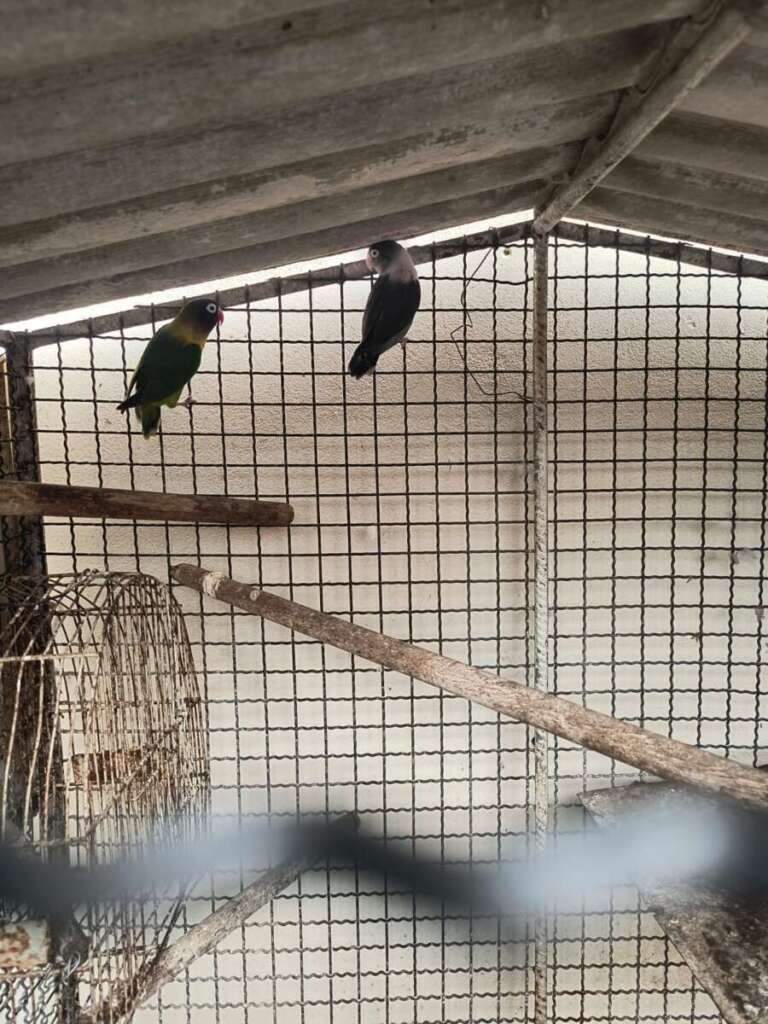 Capitão PM Ivo de Moraes, comandante da 2ª Cia. PM Ambiental da novo dinamismo para seus comandados 6 51c47708 af12 4d1b a729 00907dbf6fbb