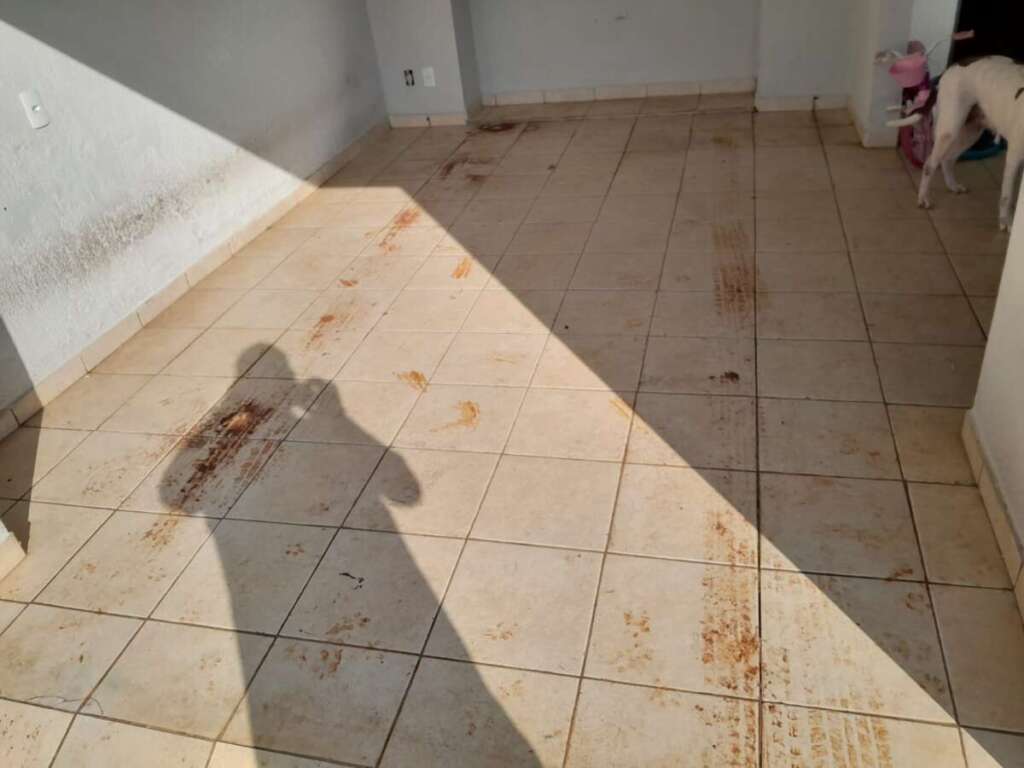 Por falta de um ‘administrador’ SAEP é insuficiente em serviços prestados nas ruas da cidade 2 WhatsApp Image 2025 06 11 at 11.42.11