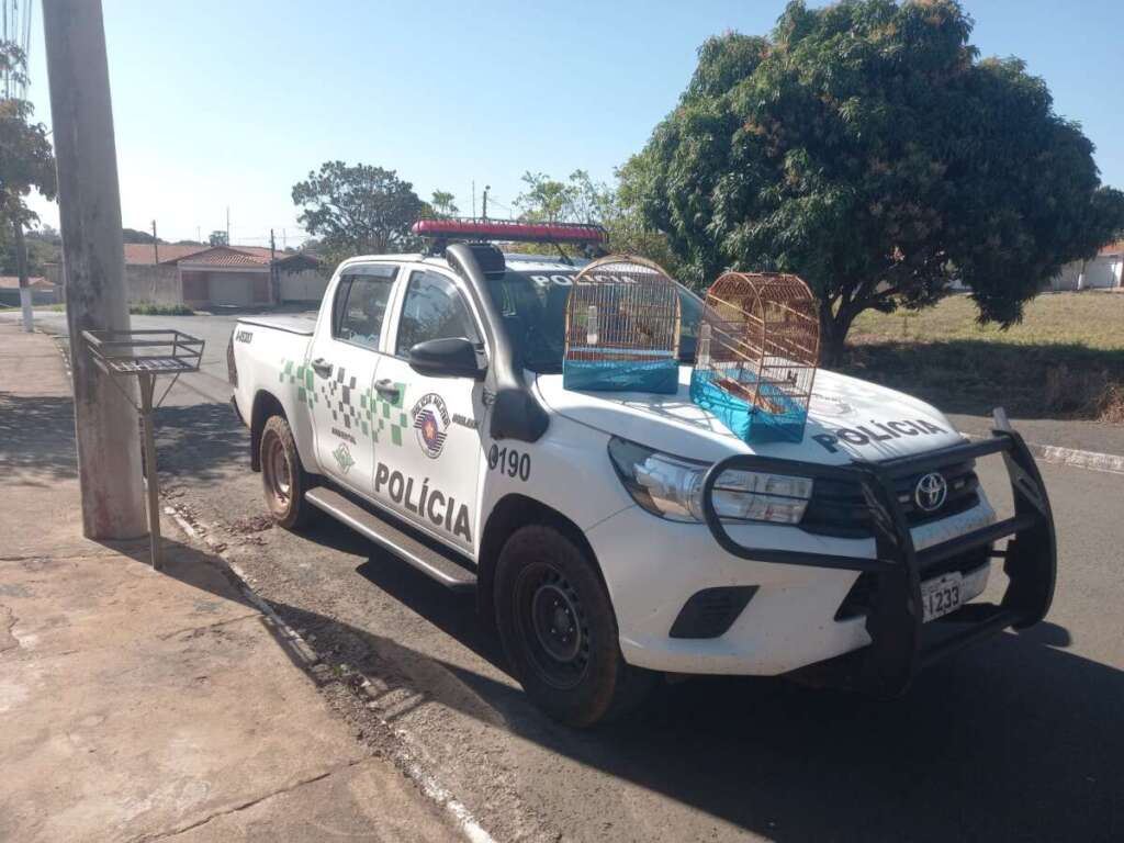 Policiais Militares Ambientais, do comando da 2ª Cia PM, comprometidos com o Meio Ambiente 1 107ccf98 54fc 4efa b2cf 398c15622d26