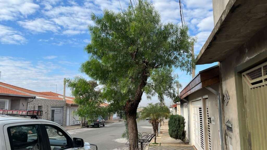 Resumão. Veja as ocorrências realizadas pelo policial ambiental da 2ª Cia, entre os dias 9 e 11 de julho 6 7eb41b04 7dfa 4840 9854 44999a9f6afd