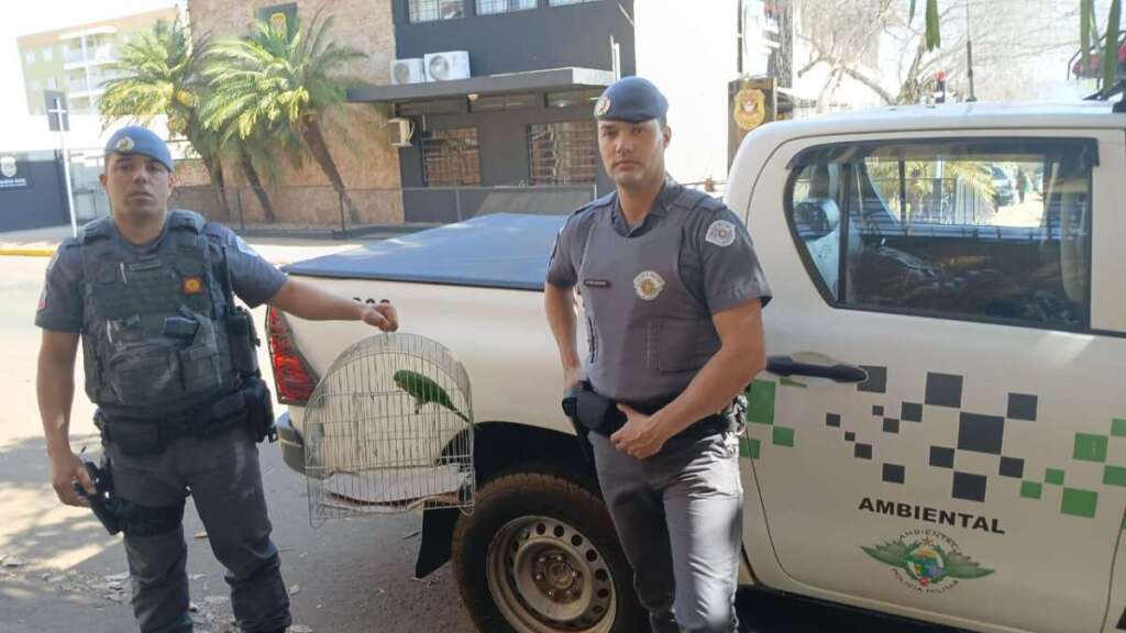 Ações pontuais através de satélite e denúncias levam policiais militares ambientais agirem com rigor 4 WhatsApp Image 2025 07 23 at 19.23.59