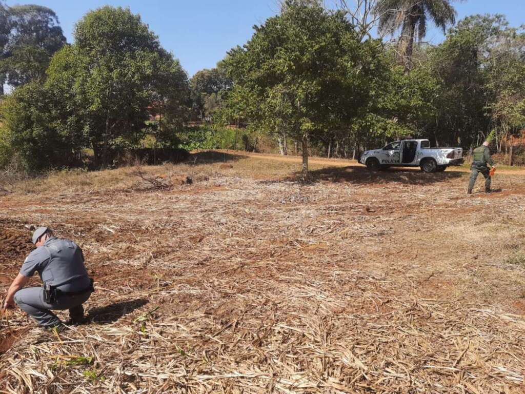 Atuação firme do policiamento ambiental combate 24 horas, crimes contra a fauna e flora 3 b6a29cfd f7e7 46d5 8cd0 ecb6f58261e5