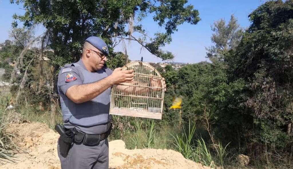 Atuação firme do policiamento ambiental combate 24 horas, crimes contra a fauna e flora 5 bafc49f9 a38e 4197 86a7 c60151a30636