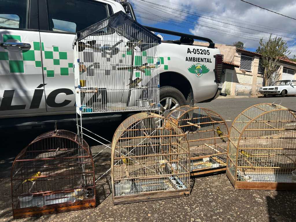 Resumão. Veja as ocorrências realizadas pelo policial ambiental da 2ª Cia, entre os dias 9 e 11 de julho 11 download 2 1