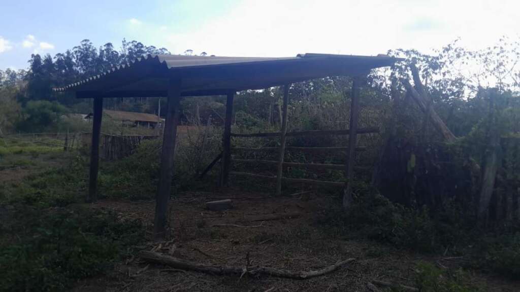 Atuação firme do policiamento ambiental combate 24 horas, crimes contra a fauna e flora 4 e175b4ad ebb0 46c2 a2d5 46159916fbf3