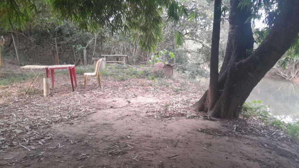 Atuação firme do policiamento ambiental combate 24 horas, crimes contra a fauna e flora 1 f0a16bda 8fa2 495c bcb6 f2d1652af757