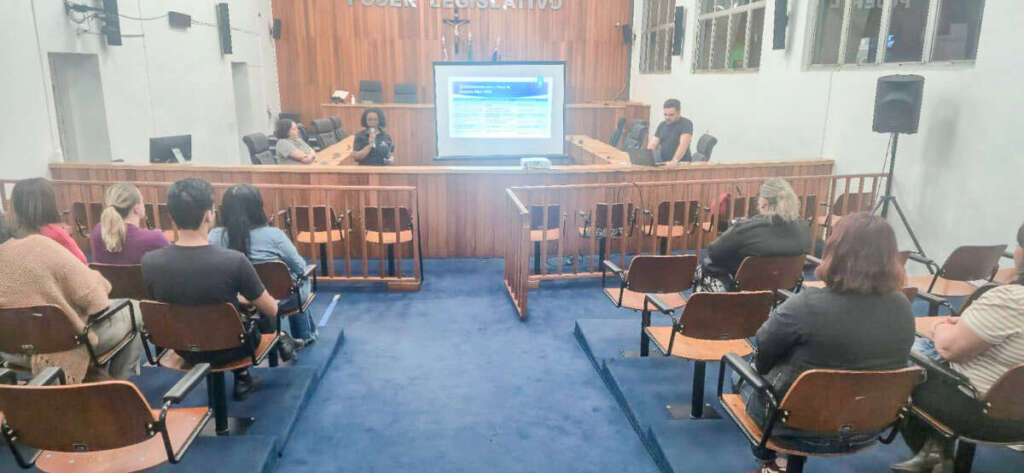 Audiencia Publica PPA 2026 2029 200825 0010