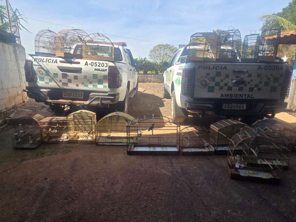 Autônomo é preso pela PM Ambiental em Pirassununga por falsificação de anilhas 3 WhatsApp Image 2025 08 23 at 20.24.15