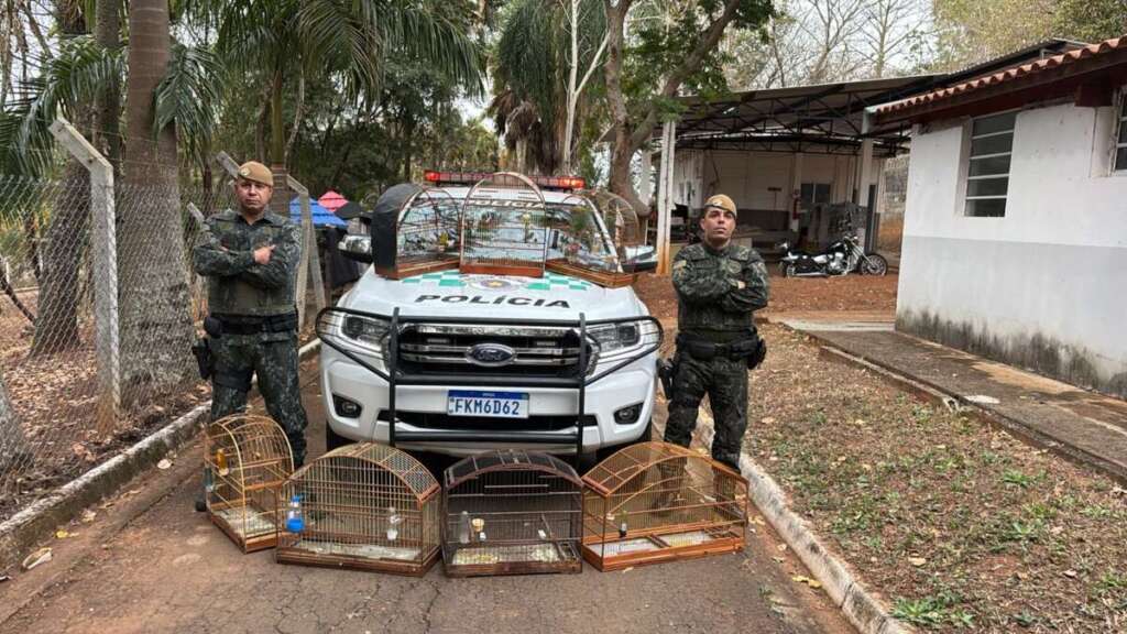 Ações, Reunião e Formatura, fortalece ainda mais a 2ª Cia. de Policia Militar Ambietal 7 b4582263 c15b 435b 9705 eb094f522fb2