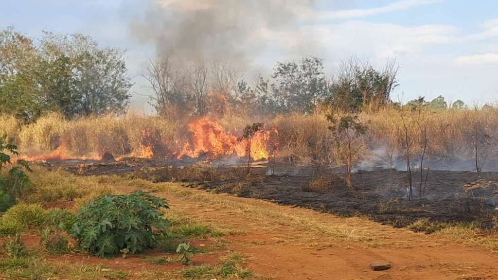 Fogo consome grande área da municipalidade em Cachoeira de Emas. Onde estava o administrador 3 c66bace2 8a21 488d af3f e3ee648d90be