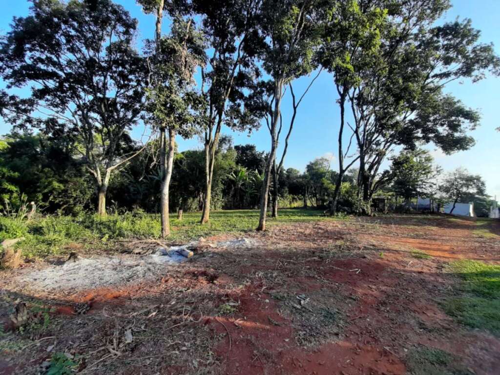 RESUMO. Ações do policiamento ambiental dos pelotões da 2ª Cia, comandada pelo Capitão PM Ivo de Moraes 12 10cdeee4 0c13 42a2 9110 52a29ea1e694