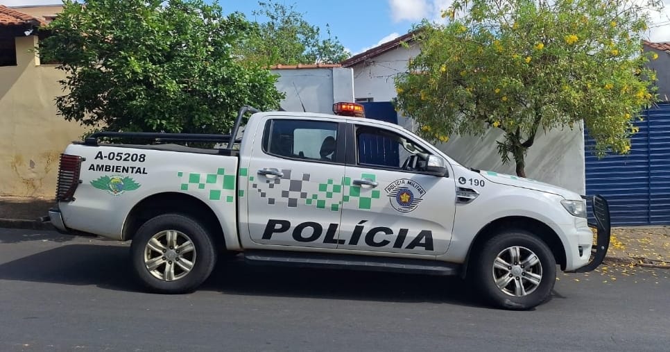 25e0a444 f86c 4d98 8379 57a56f65fdc9 1 1