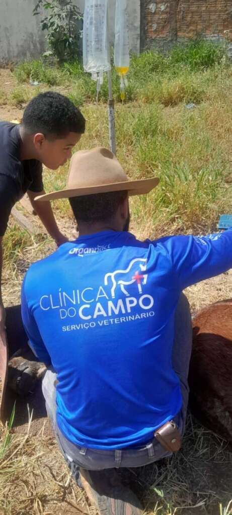 SOS Animal resgata equino debilitado na zona leste de Pirassununga 5 IMG 20250906 WA0039