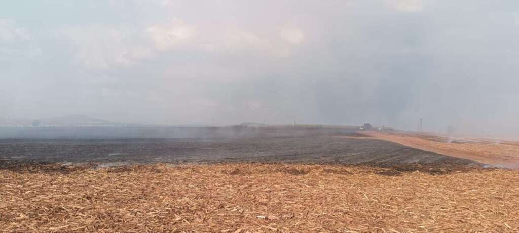 Policiais Militares Ambientais da 2ª Cia., aplicam multas de R$ 814.275,00 devido a incêndios 2 cdf0d6b5 0710 4d9a 9797 b67ade515515 1