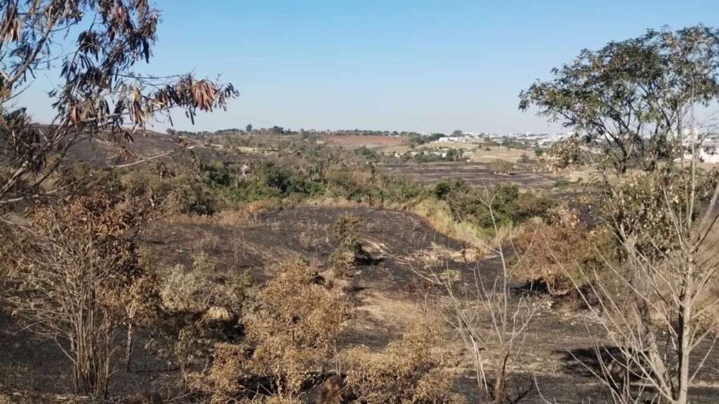 RESUMO. Ações do policiamento ambiental dos pelotões da 2ª Cia, comandada pelo Capitão PM Ivo de Moraes 13 e1e20cbe c611 47da af5b 7485ca39b97c