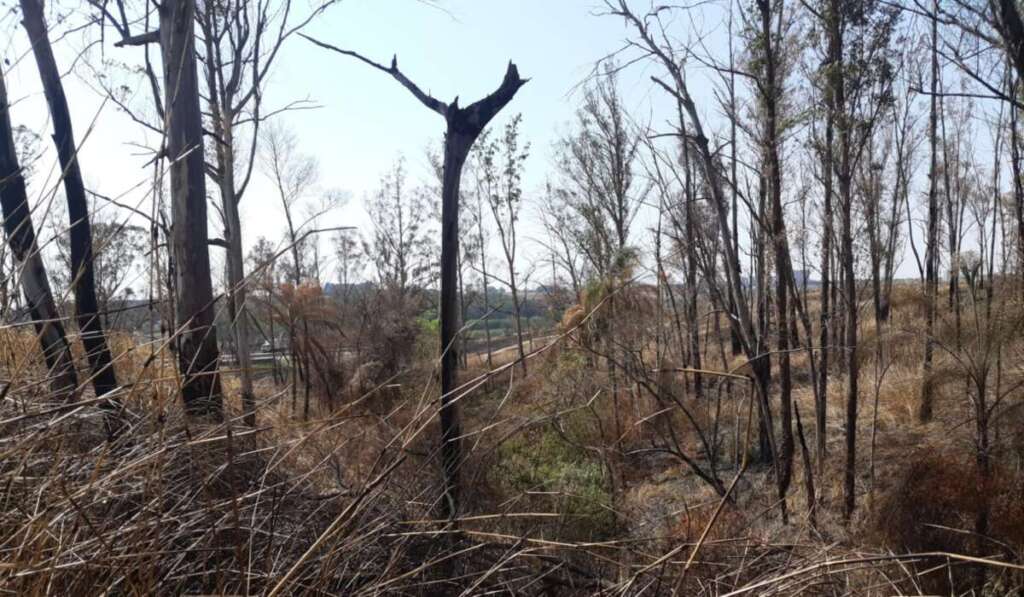 Policiais Militares Ambientais da 2ª Cia., aplicam multas de R$ 814.275,00 devido a incêndios 3 ec698d03 570d 4649 a399 5ea29c6026c2