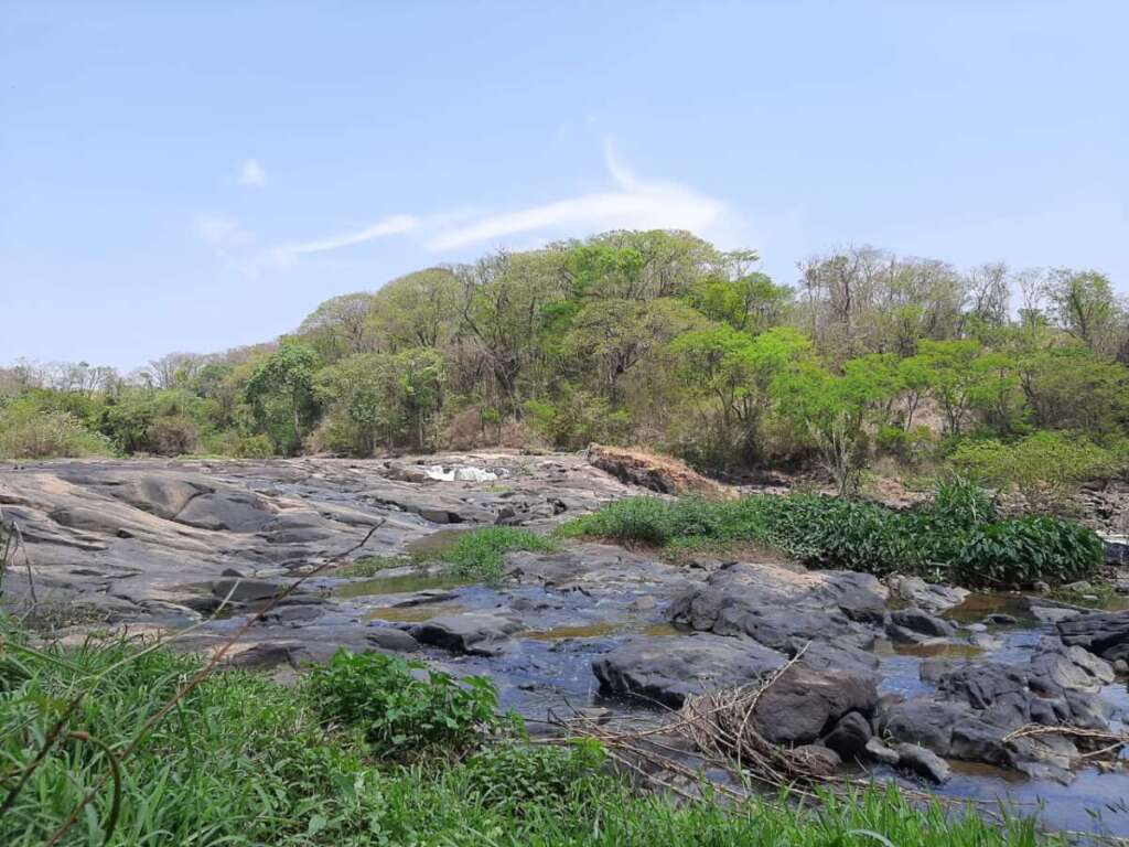 “Operação Impacto/Força Total”. Ações da 2ª Cia. PM Ambiental (Piracicaba), realiza de R$ 377.424,00 em multas 3 0d0621c1 a5a7 49e0 8652 0bb01180f145