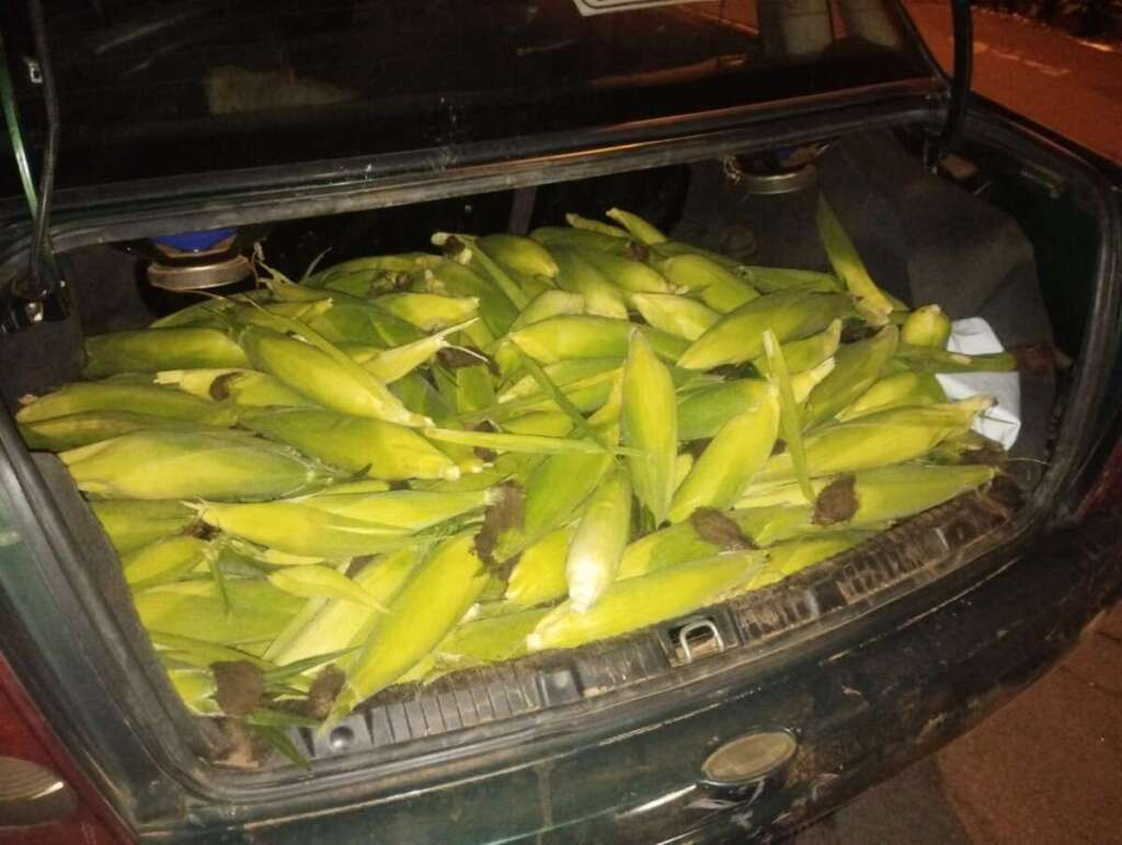RESUMÃO DA PM. Operação Bloqueio. Furto de Carne. Furto de Laranjas e Milhos e captura de procurado 3 11746d34 ef59 4645 be75 039eed2d7fca