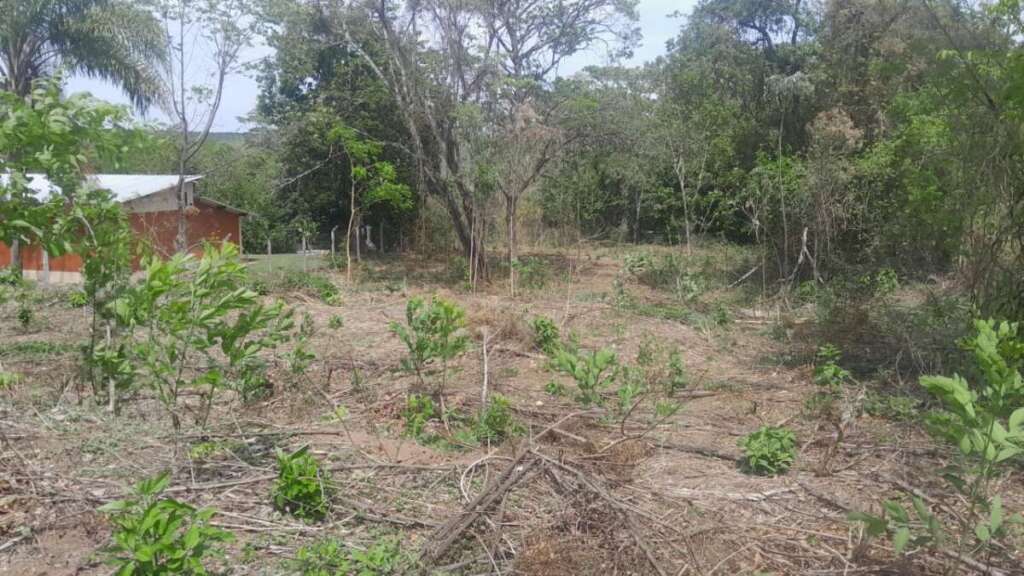 Polícia Militar Ambiental. Comprometimento com Educação Ambiental, de fiscalização à crimes ambientais 10 1258f370 7aec 4102 b512 ed09ea1b82bc