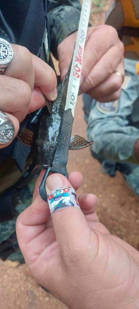 Capitão PM Ivo de Moraes esclareceu durante entrevista tudo sobre o período do Defeso (Piracema) 6 33f72aa0 a821 4505 9702 8adf85b2d1d1