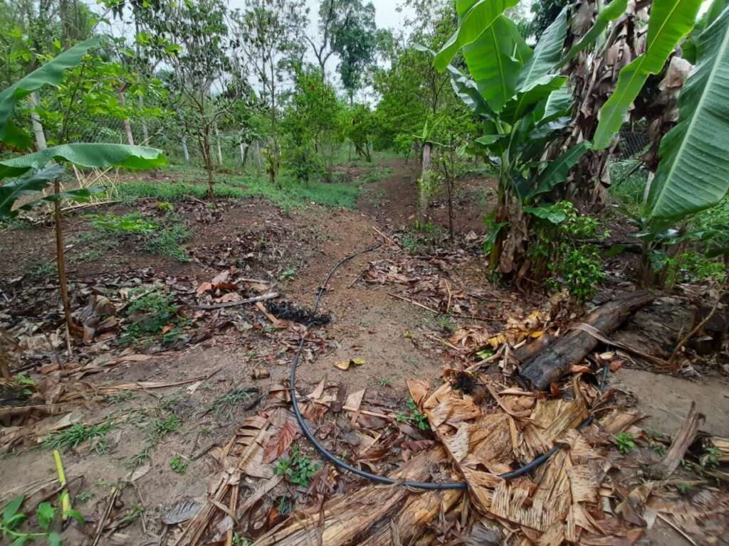 Polícia Militar Ambiental. Comprometimento com Educação Ambiental, de fiscalização à crimes ambientais 12 3d0e308f f35c 41de b22e c4647e717cd6