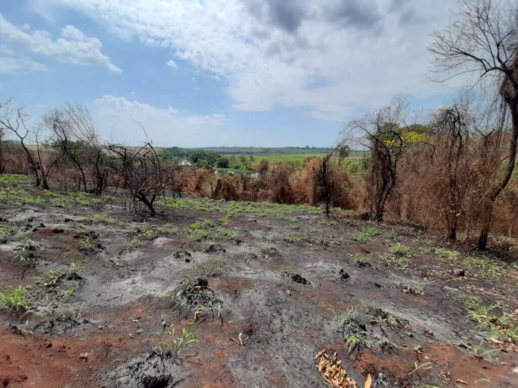 “Operação Impacto/Força Total”. Ações da 2ª Cia. PM Ambiental (Piracicaba), realiza de R$ 377.424,00 em multas 5 4c2b14c5 6e52 4dcb b8d4 45e311b85753