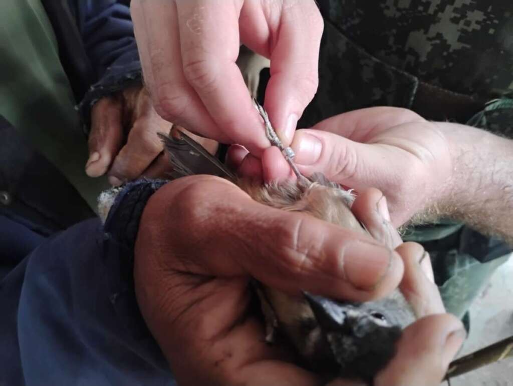 No penúltimo dia, antes do fechamento da Pesca, policiamento ambiental agem em várias frentes 13 581d7a7d 098a 4caf aa1f 71cb082d26de