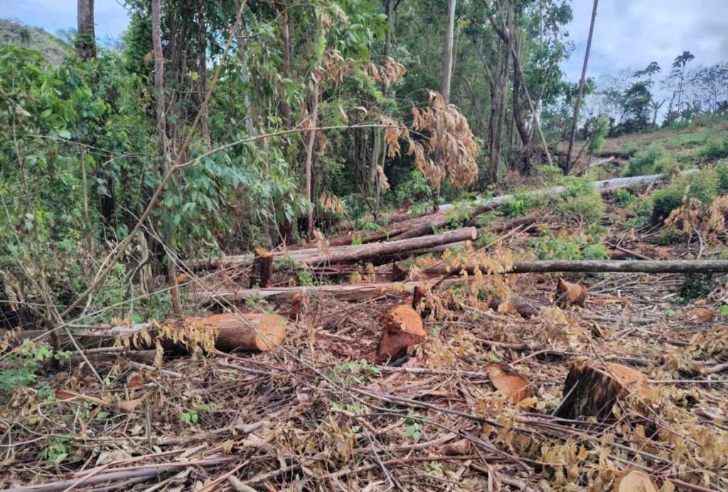 PM Ambiental em ações realizam fiscalizações na área da 2ª Cia. PM 3 636612e6 df47 4e58 9162 b48a6821e96c