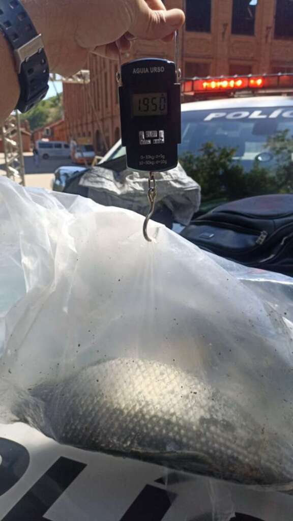 Polícia Militar Ambiental realiza ações em intervenção em APP e pesca em local proibido 3 6e0c8444 8238 4476 933f ef89dbdbda28