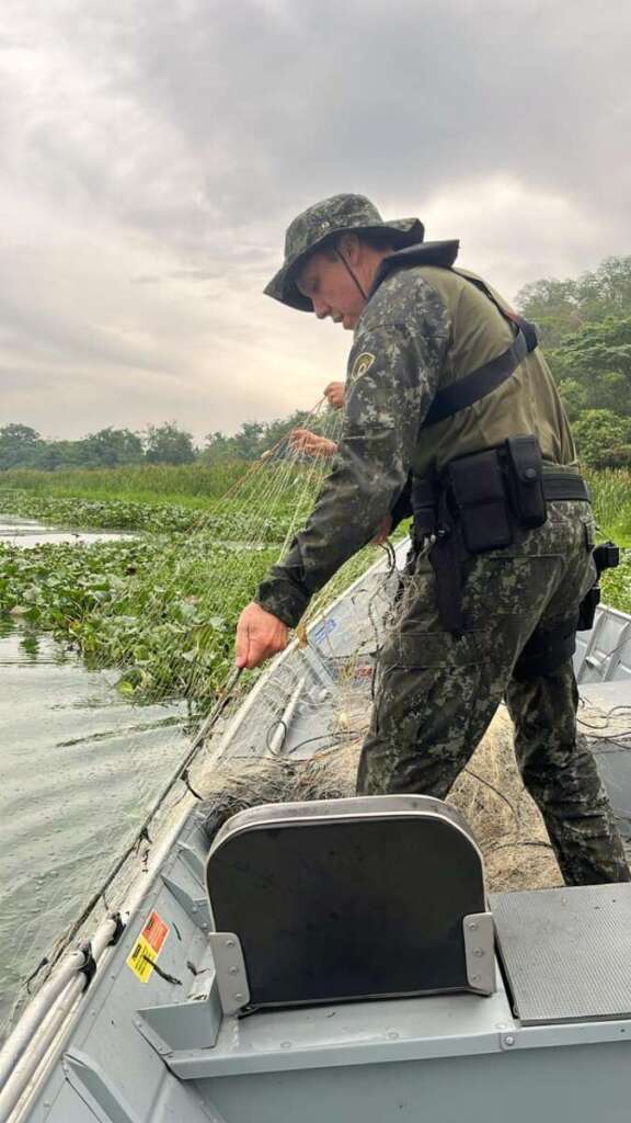 2ª Cia. PM Ambiental na Operação Pré-Piracema: Protegendo a Vida Aquática Antes do Defeso. Veja reportagem completa 10 8674db70 42de 43dd a718 dfb25e4ef826