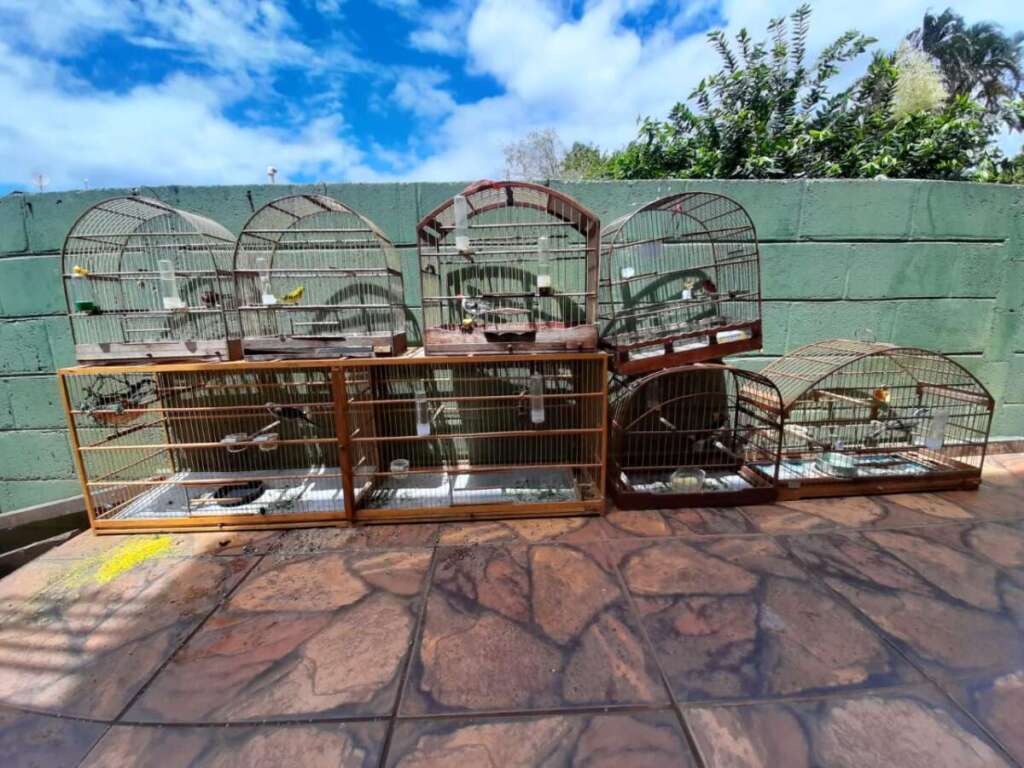 PM Ambiental em ações realizam fiscalizações na área da 2ª Cia. PM 4 91507686 6607 482c 9a04 9a91face5d0e