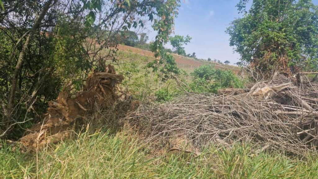Polícia Militar Ambiental. Comprometimento com Educação Ambiental, de fiscalização à crimes ambientais 13 b678361b 9a51 4bd0 85a2 5ced2b17d92d 1